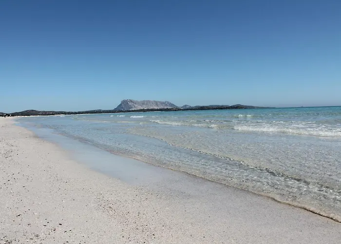 Semesterbostad Vista Sul Mare E Tavolara Budoniaffitti *