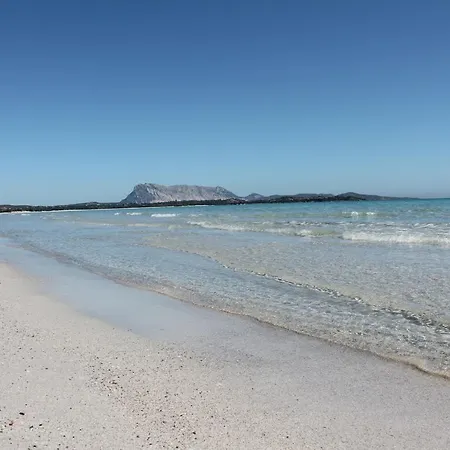 Nyaraló Vista Sul Mare E Tavolara Budoniaffitti *