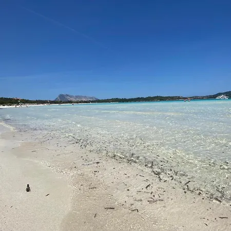 Vista Sul Mare E Tavolara Budoniaffitti بيت للعطل بورتو سان باولو