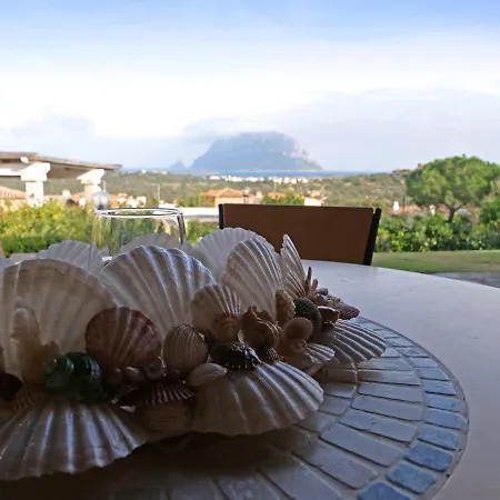 Vista Sul Mare E Tavolara Budoniaffitti