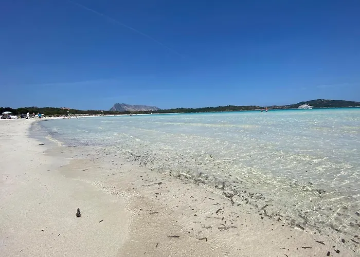 Vista Sul Mare E Tavolara Budoniaffitti Casa de Férias Porto San Paolo (Sardinia)