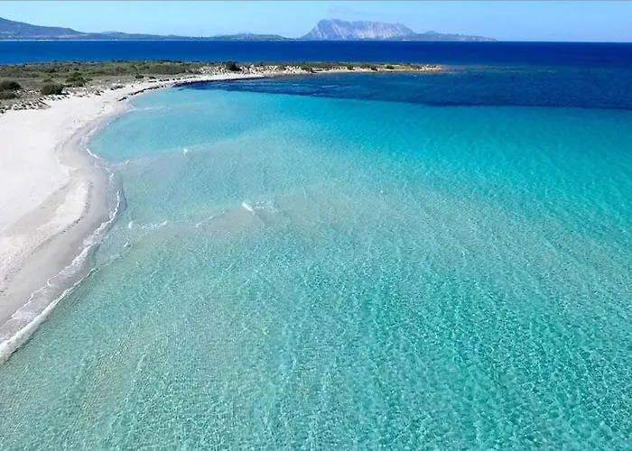 Vista Sul Mare E Tavolara Budoniaffitti Porto San Paolo (Sardinia)