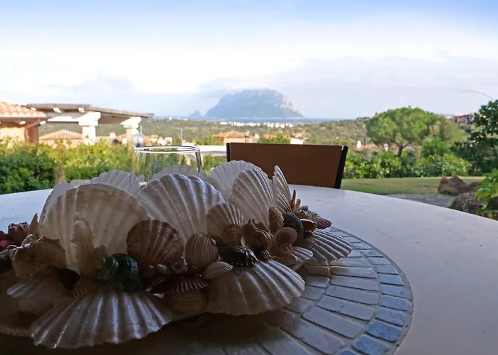 Vista Sul Mare E Tavolara Budoniaffitti